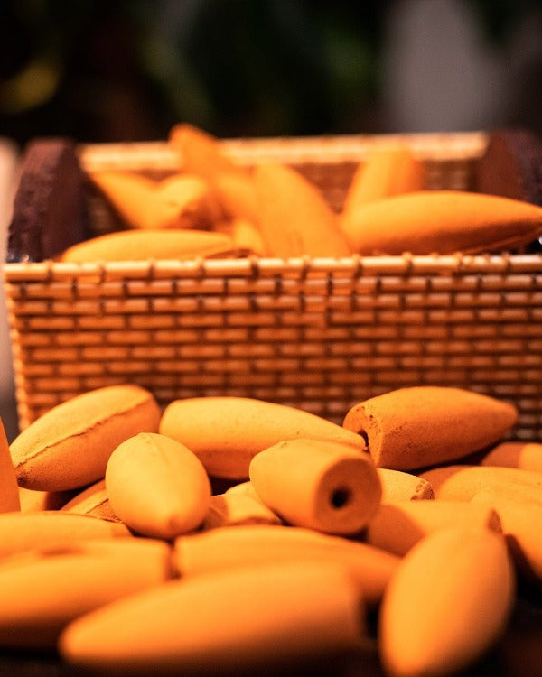 Ambra (25 pz) Cono di Incenso a reflusso Zendai™ - Official Store 